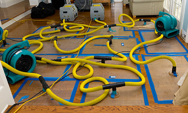 Professional Burst Pipe Water Damage technician working in Centreville, AL